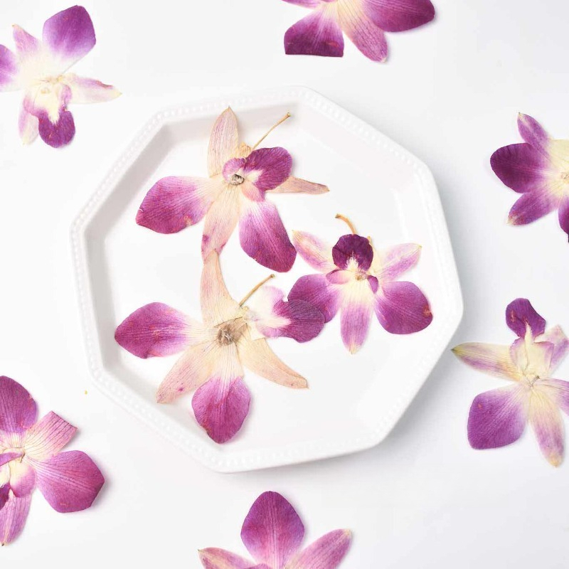 4pcs,Real Pressed Butterfly Or - Resin Art Photo Frame review and price