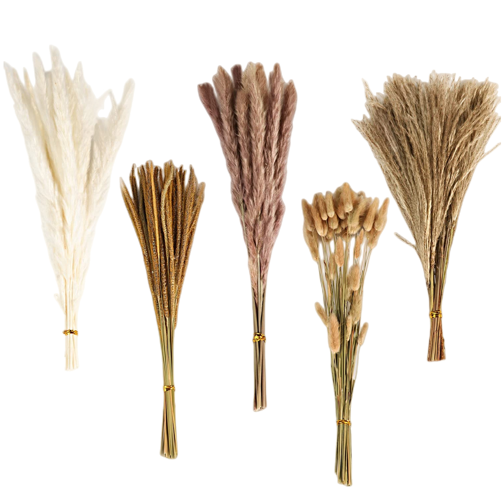 Autumn Vintage Mixed Dried Flo - Dried Flower Pressed review and price