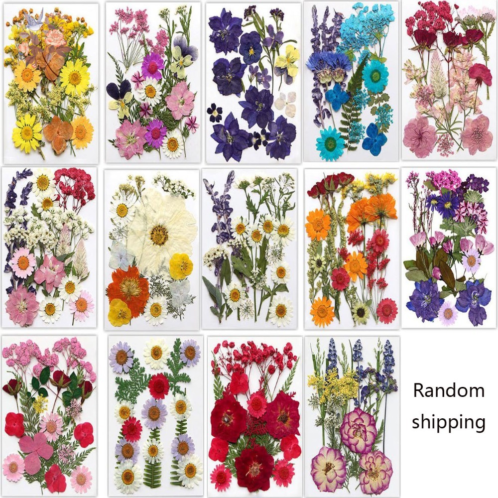 Handmade Pressed Dried Flowers - Dried Flower Pressed review and price