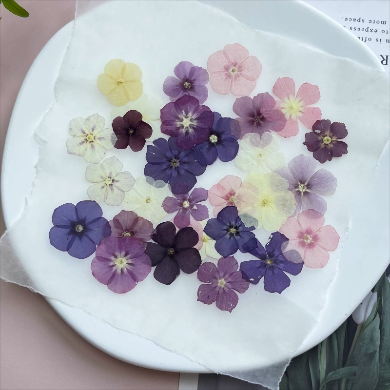 12pcs,Semi-Transparent Niche P - Resin Art Phone Case review and price